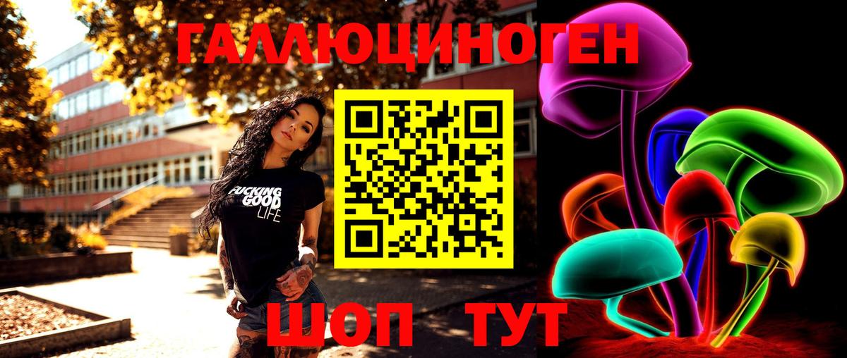 как найти закладки  Псилоцибиновые грибы Psilocybe  Вход с VPN  Красноармейск 