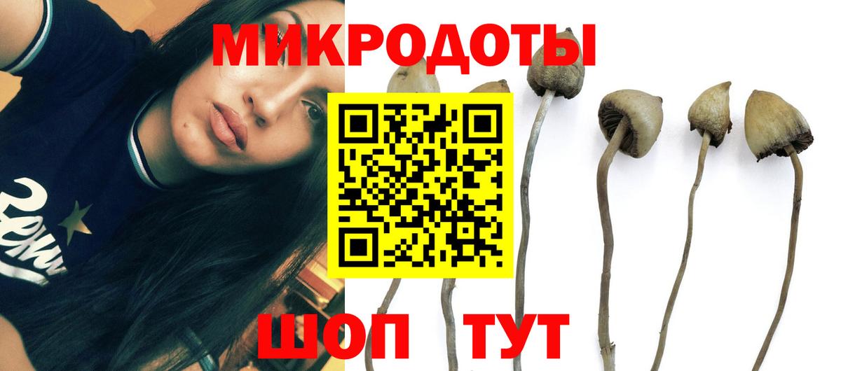 Псилоцибиновые грибы прущие грибы Красноармейск