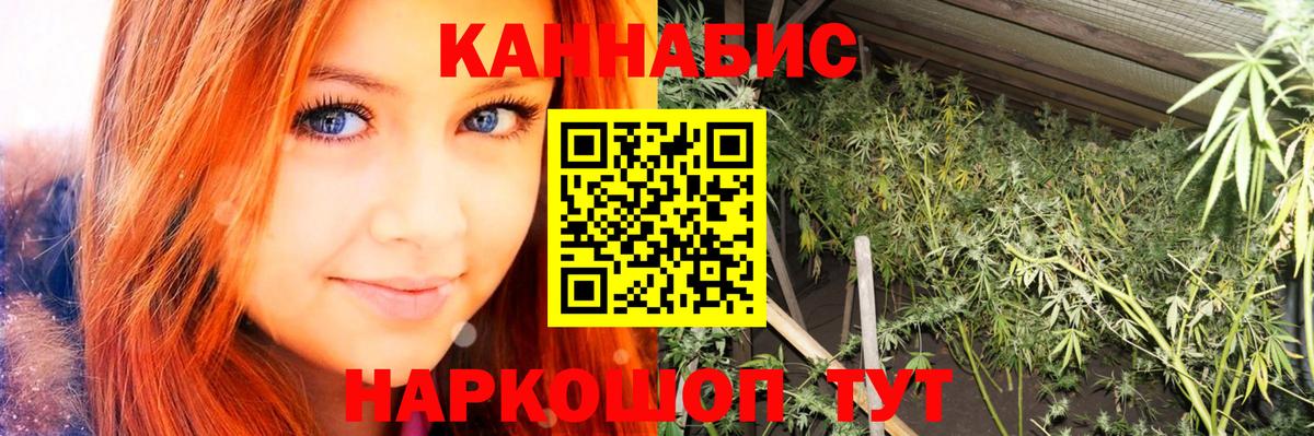 Бошки Шишки Amnesia Красноармейск