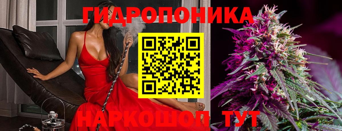 Красноармейск  Бошки Шишки VHQ  Бошки Шишки тримм  Вход с VPN  Конопля Amnesia  Канабис планчик 